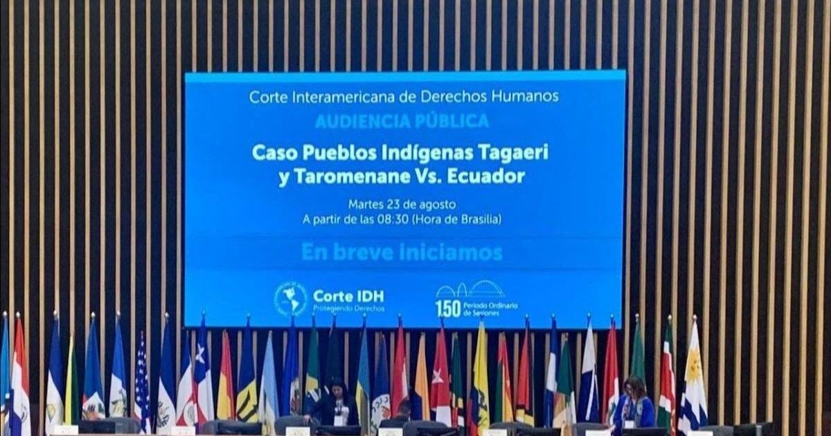 A screen of the Indigenous Peoples Tagaeri and Taromenane v. Ecuador Court Case