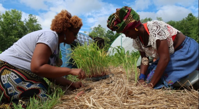 two women planting seeds in the ground