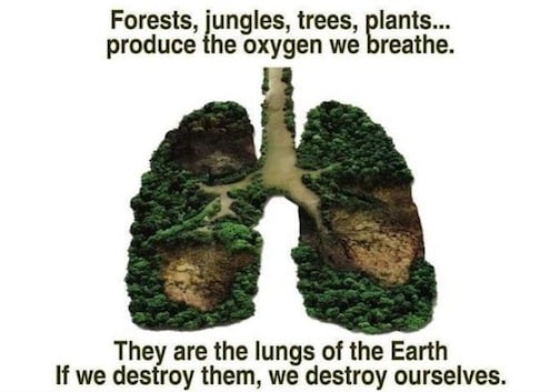 earthlungs
