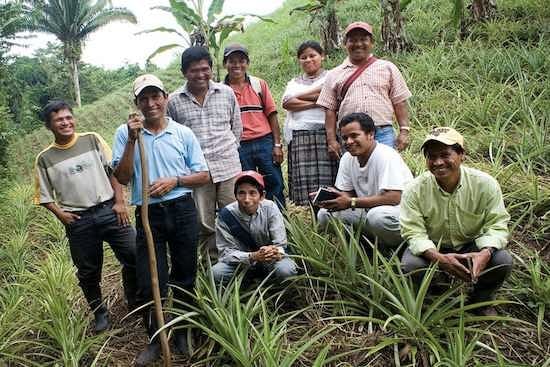 indigenous farmers