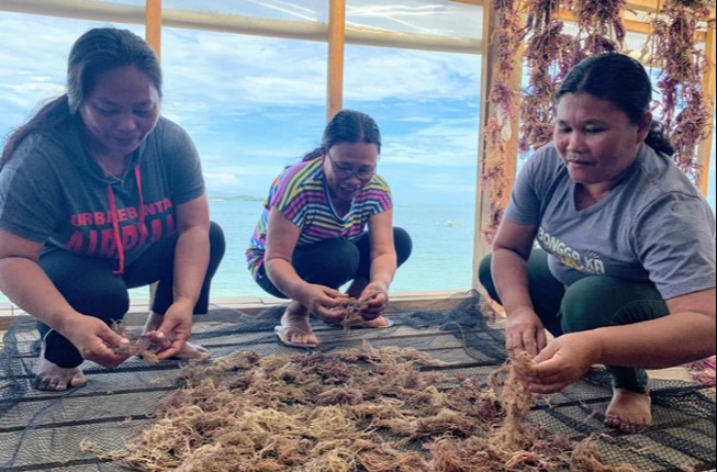 women seaweed farmers sorting seaweed
