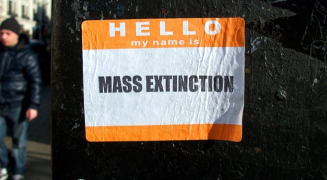 name tag that says mass extinction