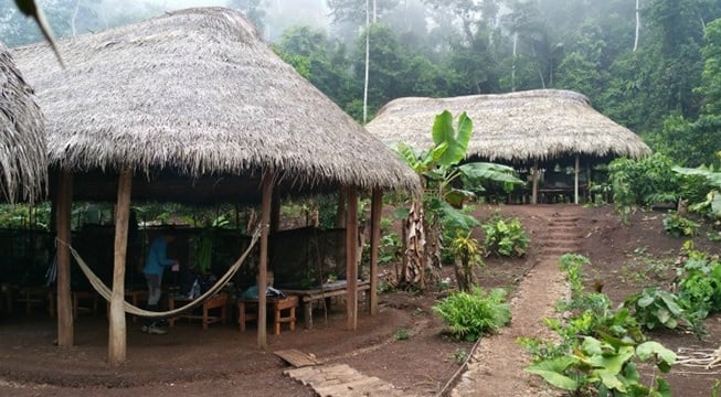 amazon rainforest tribe huts