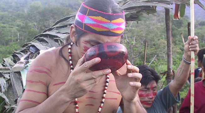 Achuar man drinking chicha