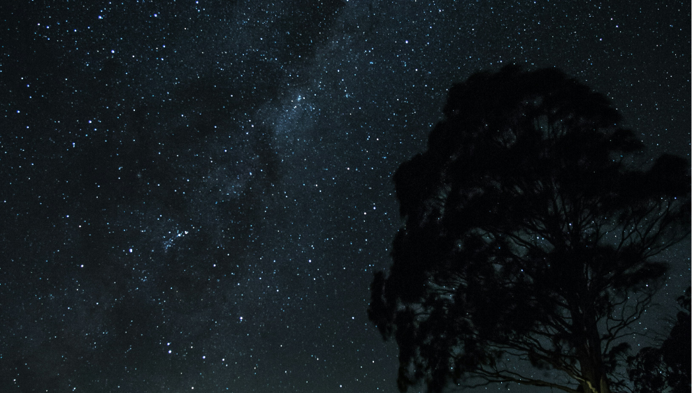 Receiving Guidance from Earth, Spirit, and the Stars
