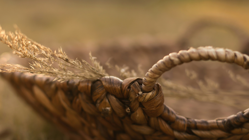 Listening for Enough: The Honorable Harvest